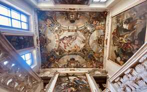 Museum Item Image